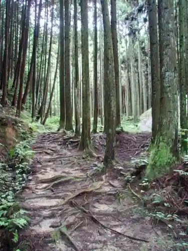 天石立神社の自然