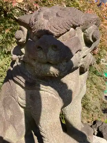 鶴見神社の狛犬