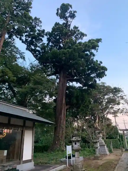 東大社(千葉県)