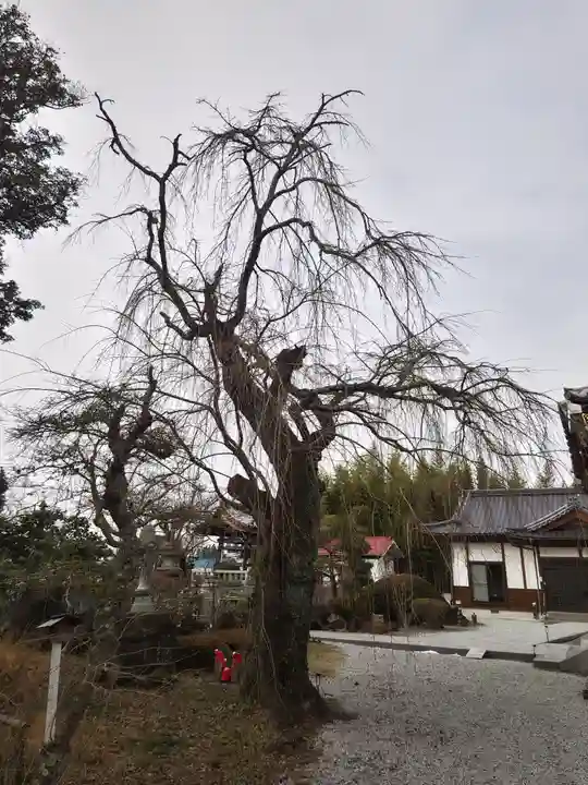 円通寺(福島県)