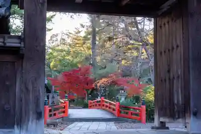 今宮神社(京都府)