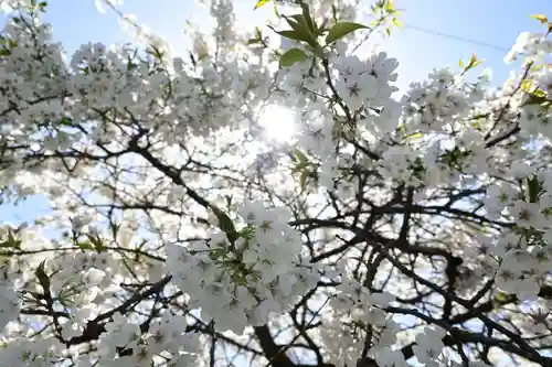 大宝寺(愛媛県)
