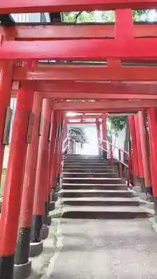 五社稲荷社の鳥居