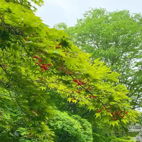 古峯神社の景色