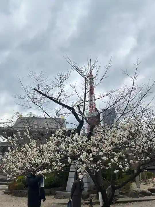 増上寺(東京都)