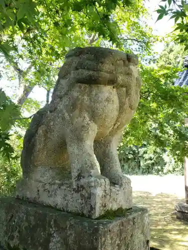 生権寺五社神社の狛犬