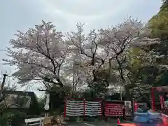 徳島眉山天神社(徳島県)