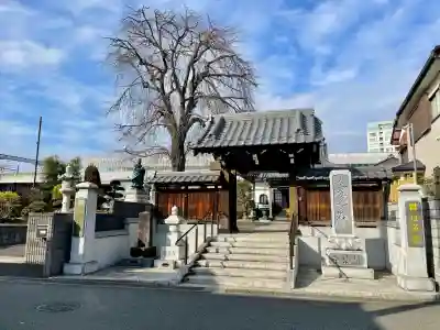 伝法寺(千葉県)