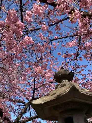 鏡神社の{uncategorized: "未分類", other: "その他", undefined: "問題あり", building: "その他建物", grave: "お墓", sacred_gate: "鳥居", guardian: "狛犬", statue: "像", buddha: "仏像", history: "歴史", nature: "自然", garden: "庭園", animal: "動物", pagoda: "塔", temizu: "手水舎", mountain_gate: "山門・神門", sanctuary: "本殿・本堂", subordinate: "末社・摂社", art: "芸術", scenery: "景色", jizo: "地蔵", ema: "絵馬", goshuin: "御朱印", omikuji: "おみくじ", items: "授与品その他", amulet: "お守り", goshuincho: "御朱印帳", eats: "食事", festival: "お祭り", votive_dance: "神楽", shichigosan: "七五三参", wedding: "結婚式", experience: "体験その他", initially: "初詣", around: "周辺", anti_infection: "感染症対策"}