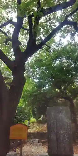 湯島聖堂(東京都)