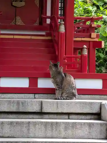 白金氷川神社(東京都)