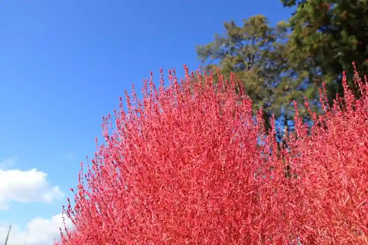 高司神社〜むすびの神の鎮まる社〜の周辺
