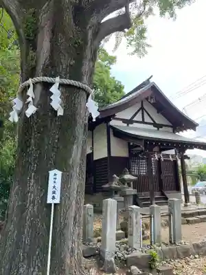 桐生天満宮(群馬県)