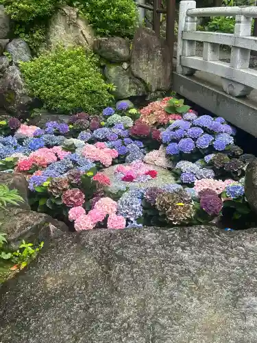 岡寺（龍蓋寺）(奈良県)