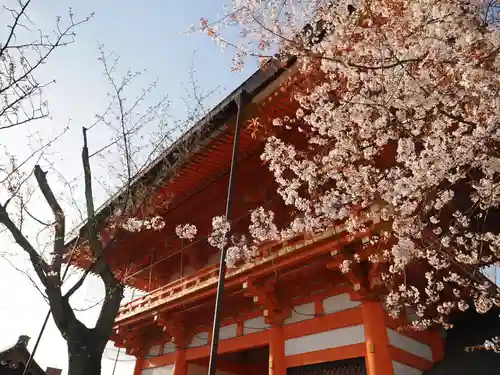 八坂神社(祇園さん)の山門・神門