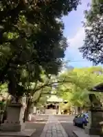 亀戸 香取神社(東京都)