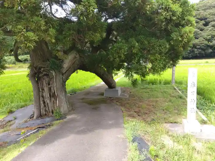 春日神社(福井県)