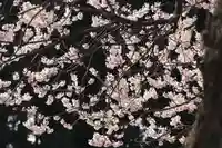 宇賀神さまの自然