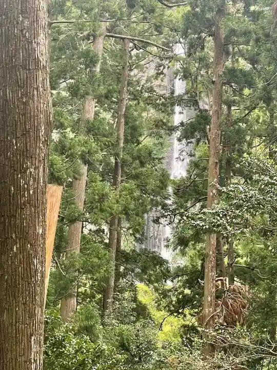 熊野那智大社(和歌山県)