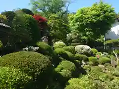 豊泉寺(埼玉県)