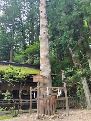 諏訪大社下社春宮(長野県)