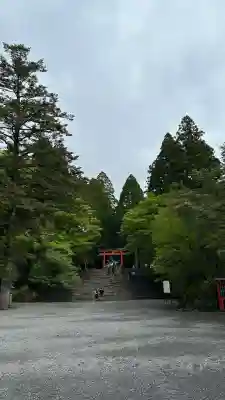 霧島神宮(鹿児島県)