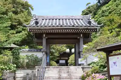 安養院　(田代寺）(神奈川県)