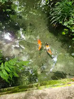 光明寺瑠璃光院(京都府)