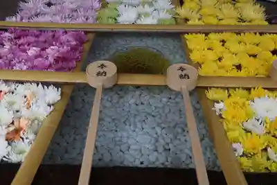 土津神社|こどもと出世の神さまの手水舎