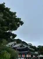 長谷寺の{uncategorized: "未分類", other: "その他", undefined: "問題あり", building: "その他建物", grave: "お墓", sacred_gate: "鳥居", guardian: "狛犬", statue: "像", buddha: "仏像", history: "歴史", nature: "自然", garden: "庭園", animal: "動物", pagoda: "塔", temizu: "手水舎", mountain_gate: "山門・神門", sanctuary: "本殿・本堂", subordinate: "末社・摂社", art: "芸術", scenery: "景色", jizo: "地蔵", ema: "絵馬", goshuin: "御朱印", omikuji: "おみくじ", items: "授与品その他", amulet: "お守り", goshuincho: "御朱印帳", eats: "食事", festival: "お祭り", votive_dance: "神楽", shichigosan: "七五三参", wedding: "結婚式", experience: "体験その他", initially: "初詣", around: "周辺", anti_infection: "感染症対策"}