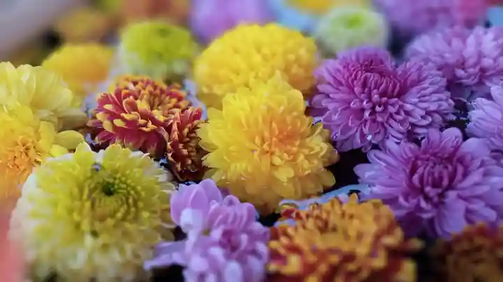 阿邪訶根神社(福島県)