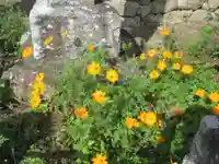 法養寺薬師堂(埼玉県)