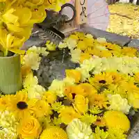 札幌諏訪神社の手水舎