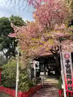 子安稲荷神社(東京都)