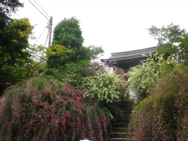 海蔵寺のその他建物