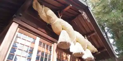 諏訪大社下社春宮の本殿・本堂