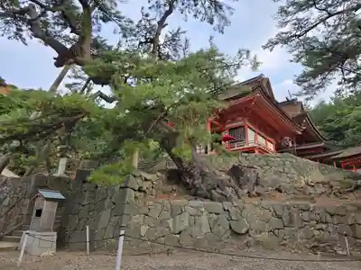 日御碕神社(島根県)