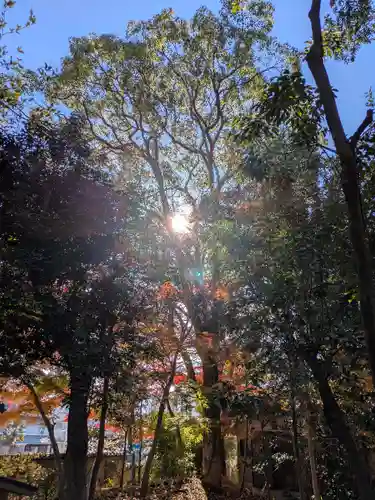 御坂神社(兵庫県)