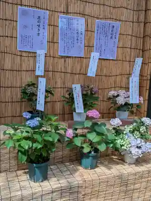 十番稲荷神社(東京都)