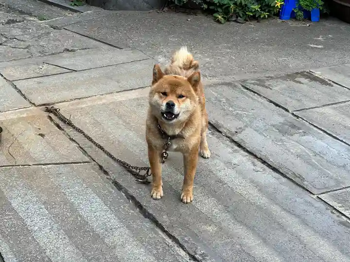 玉林寺(愛知県)