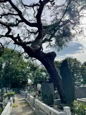 泉龍寺(東京都)