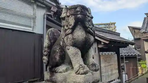金刀比羅神社の狛犬
