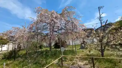 橋寺 放生院(京都府)