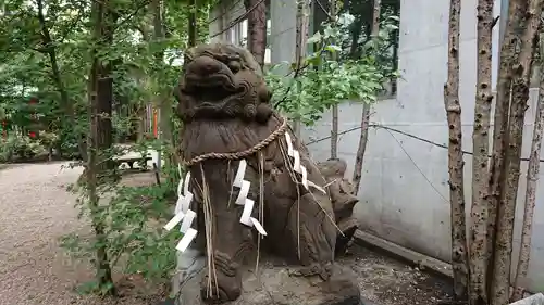 堀越神社の狛犬