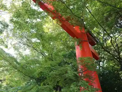 賀茂御祖神社(下鴨神社)の鳥居