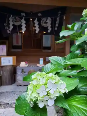 五十稲荷神社(栄寿稲荷神社)(東京都)