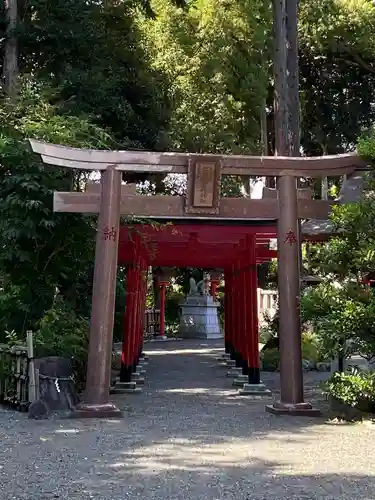 亀ケ池八幡宮の鳥居