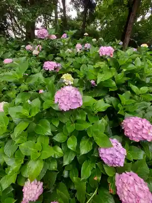 御裳神社(愛知県)