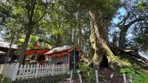 高原熊野神社(和歌山県)