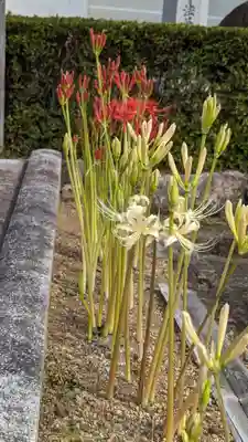 後白河院御聖蹟　法住寺(京都府)